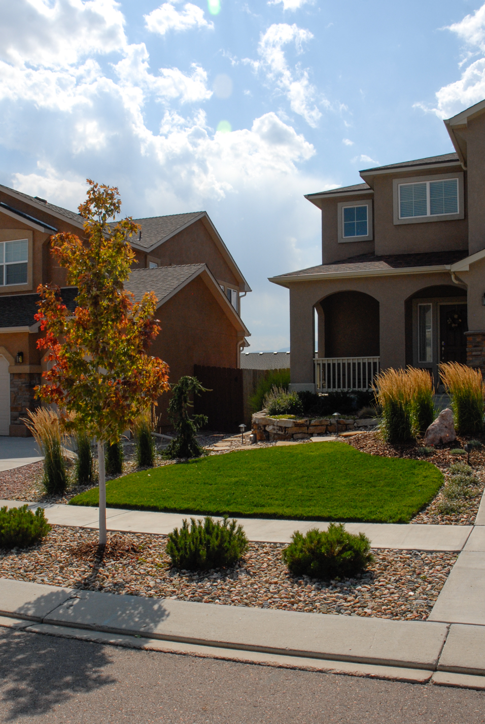 Easy Maintenance Front Yard